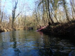 Groschenwasser, Februar 2026